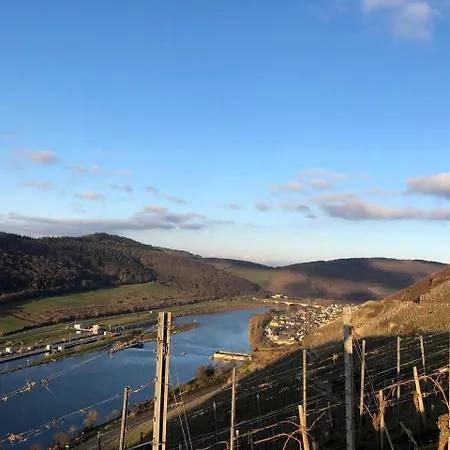 Lägenhet Gemuetliches Rosenburgblick In Moselnaehe