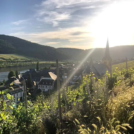 Gemütliches Rosenburgblick In Moselnähe