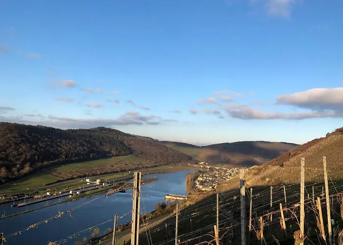 Lägenhet Gemuetliches Rosenburgblick In Moselnaehe