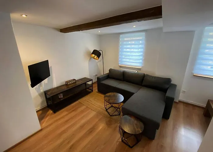 Apartamento Gemuetliches Rosenburgblick In Moselnaehe Zeltingen-Rachtig